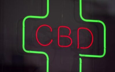 Is CBD the word du jour for the cannabis industry and beyond