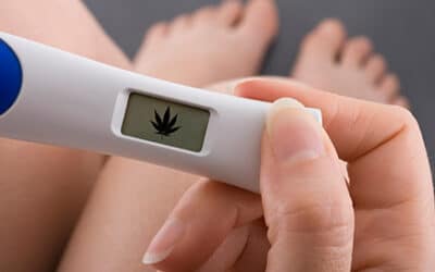 Studies on cannabis use in pregnancy